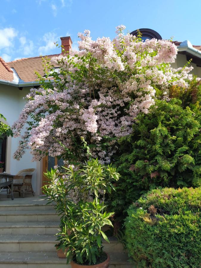 Frutta Villa Cserszegtomaj Eksteriør bilde